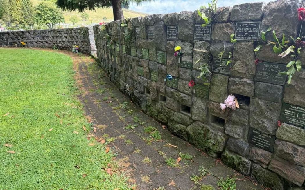 A photo of overgrown grass and weeds at Kauae Cemetery, posted on social media last weekend. Photo / Rotorua Notice Board