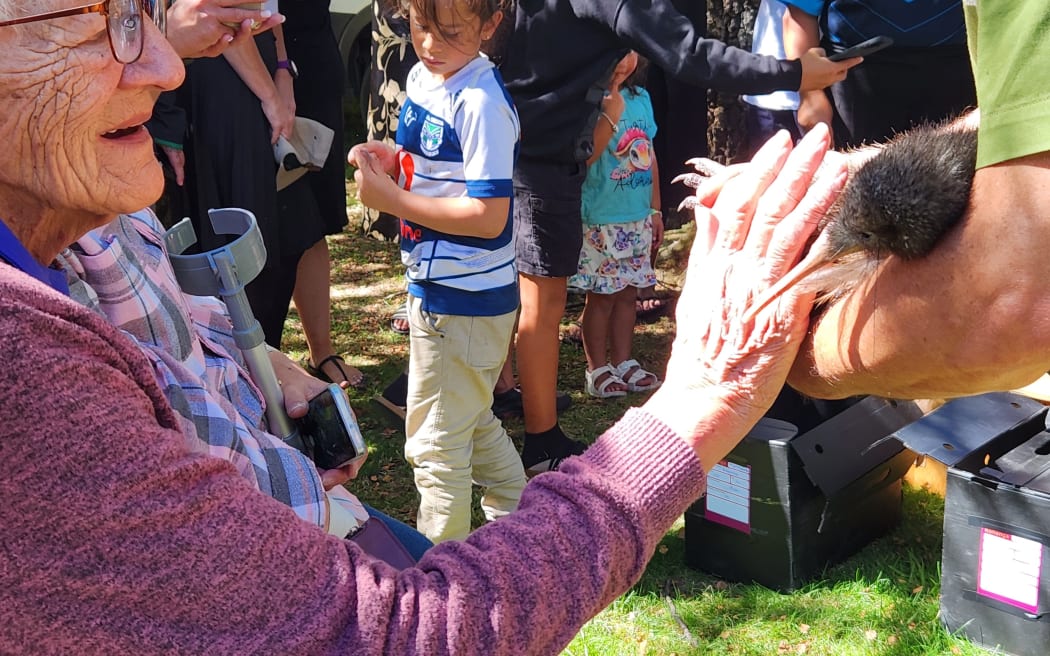 The taonga kiwi were released back into the region from where their ancestors were taken a generation ago.