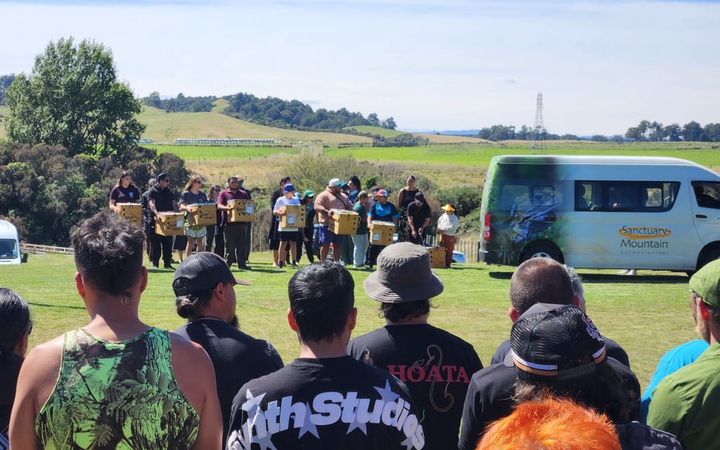 Ngāti Korokī Kahukura travelled with the kiwi from Sanctuary Mountain Maungatautari to Tirorangi Marae in Karioi.