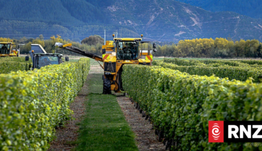 Theatre's accountant goes off-script with 'dire' wine industry predictions