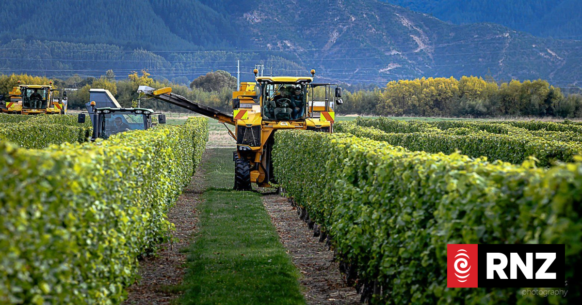 Theatre's accountant goes off-script with 'dire' wine industry predictions