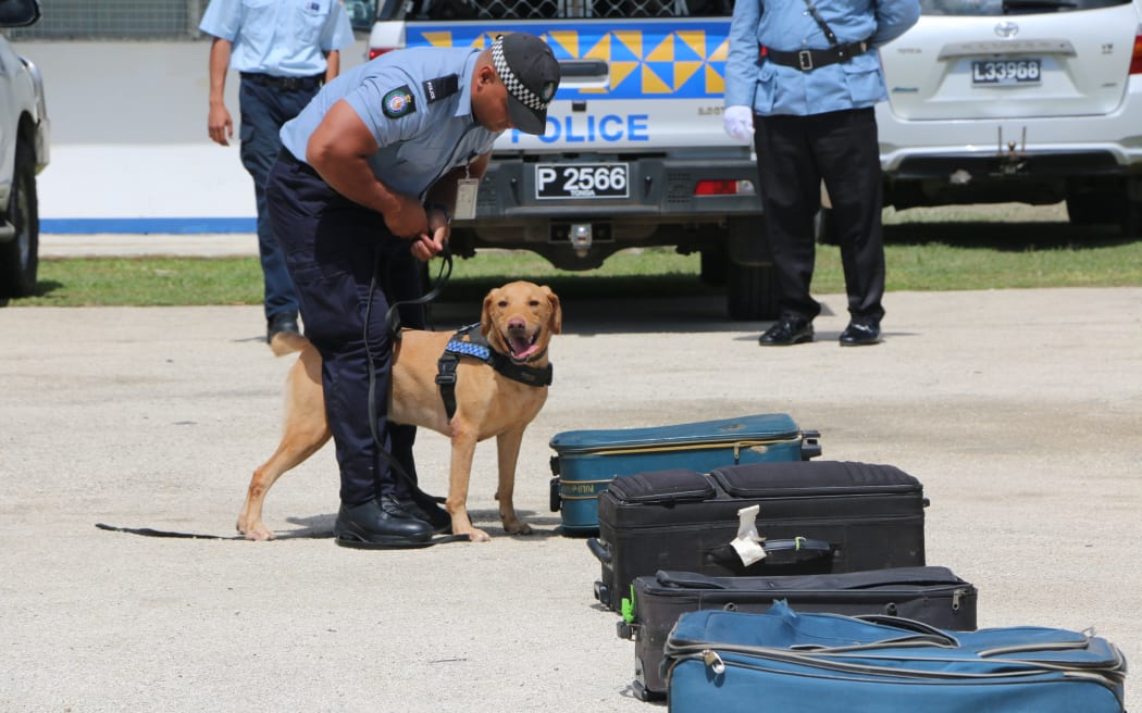 A Pacific Detector Dog programme dog in Tonga.