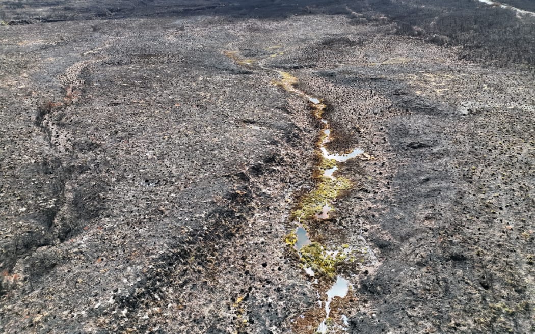 An example of how wetted areas experience less fire impact.