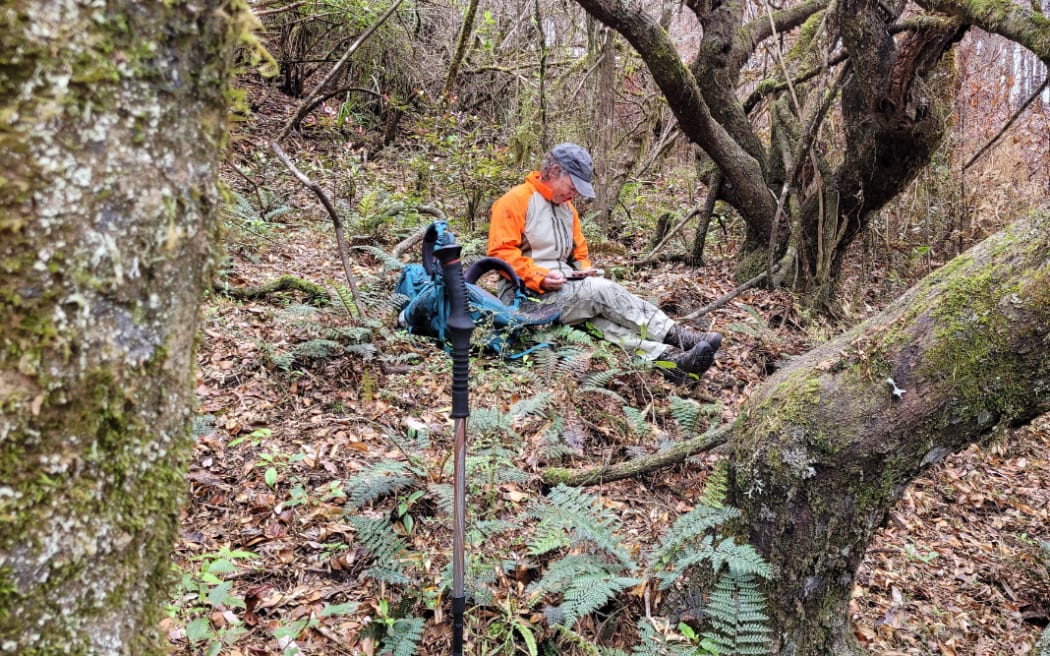 Ecologist Jess Scrimgeour in the untouched Hall’s tōtara patch.