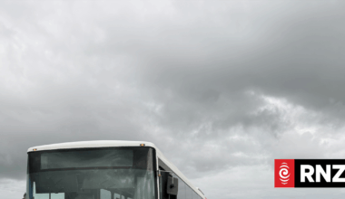 Relief for parents and students as Ministry of Education pauses school bus reviews