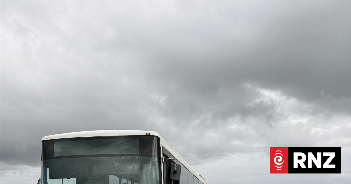 Relief for parents and students as Ministry of Education pauses school bus reviews