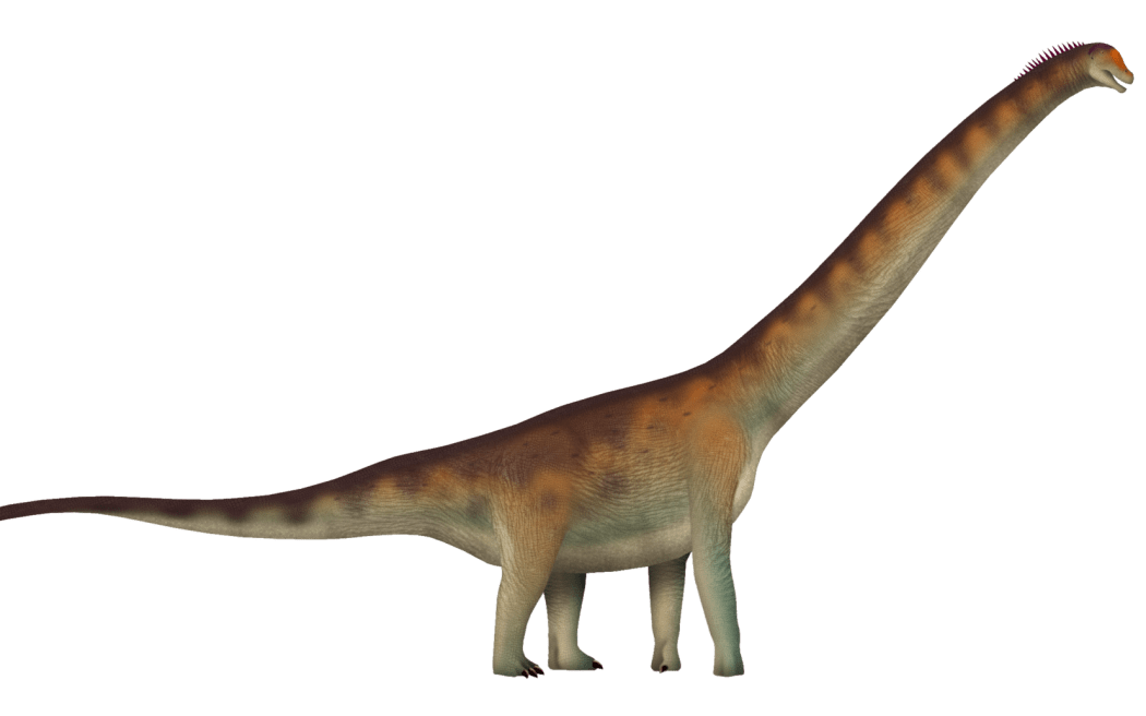Artist's impression of Dasosaurus.