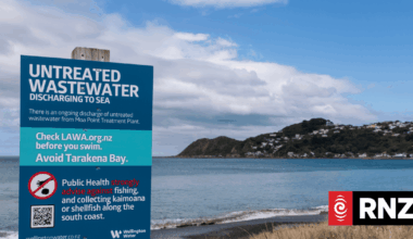 Moa Point failure report to be released on Friday