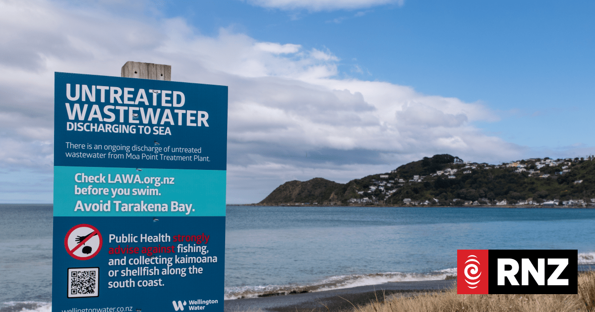 Moa Point failure report to be released on Friday