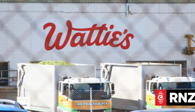 Wattie's a big name reminder of pressure on NZ manufacturers
