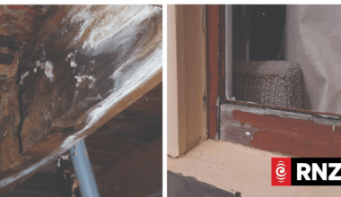 90% of New Zealand homes in need of immedate maintenance