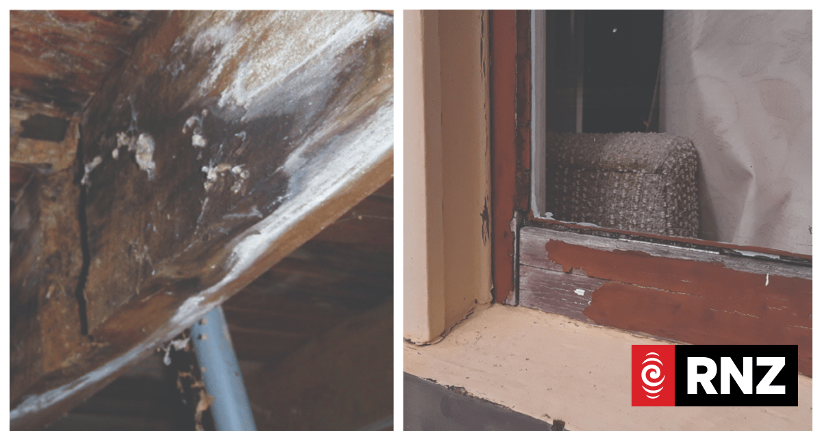 90% of New Zealand homes in need of immedate maintenance