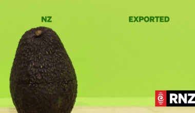 The world is eating our lunch: How our apples, seafood and avocados make millions