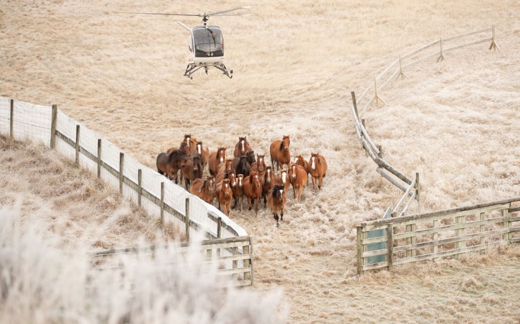 A previous muster takes place.