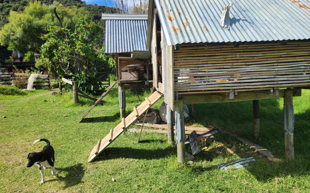 A view of the store houses, small huts on stilts, used to store crops