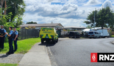 Papakura incident ends with person covered in blood, another arrested