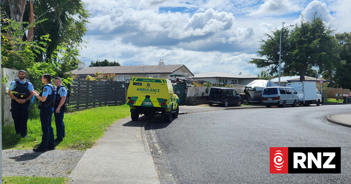 Papakura incident ends with person covered in blood, another arrested