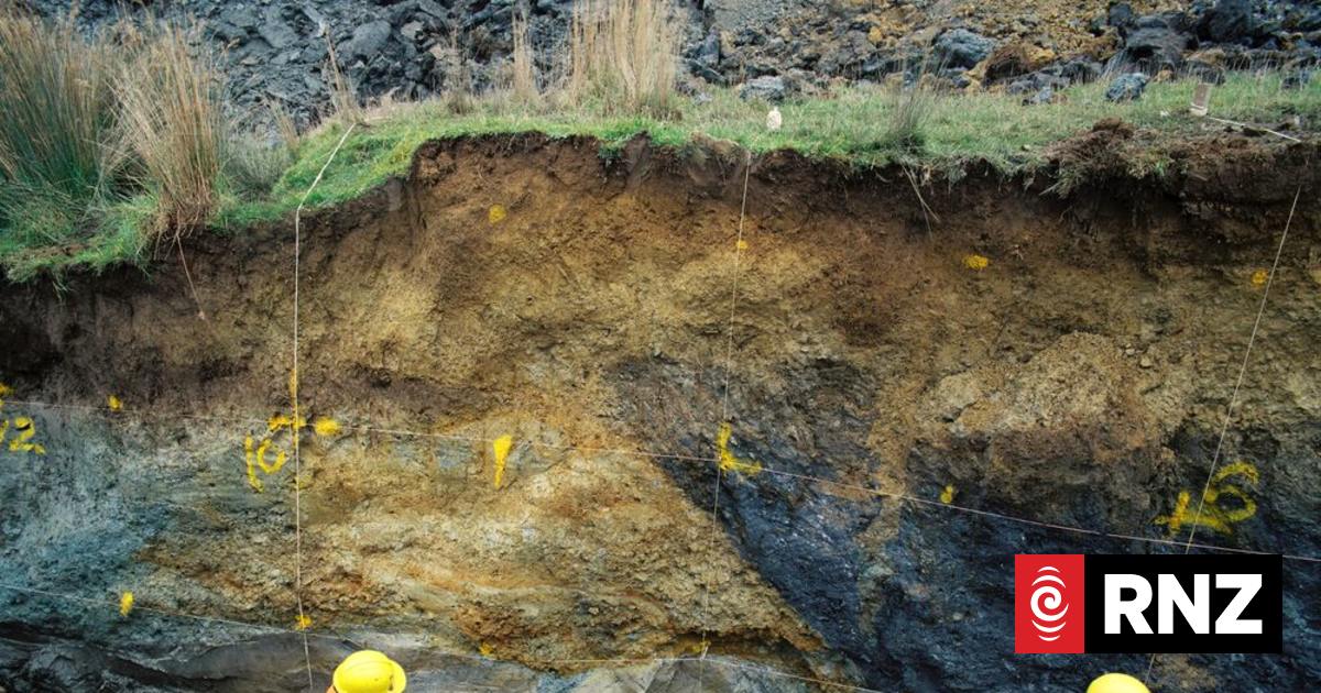 Laser mapping and CT scans reveal North Island's hidden quake risk