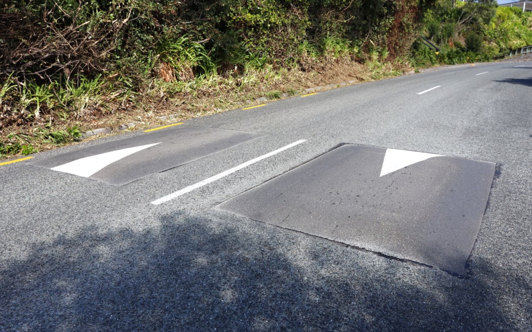 The four speed humps on Princes Drive will stay permanently.