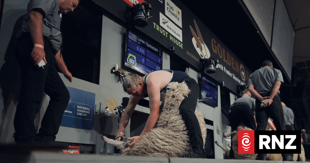 The secret to NZ's sheep shearing success on show at world championships