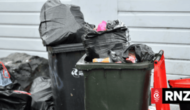 The helpful rubbish service used by just one person