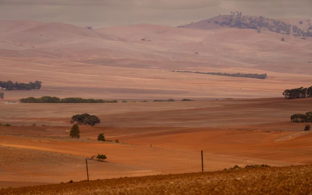 The red-coloured dirt of the land near Orroroo.