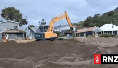 Property owners fined for illegal work on Northland beach