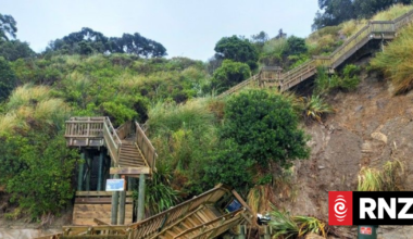 Auckland's 'stairs of doom' face uncertain future