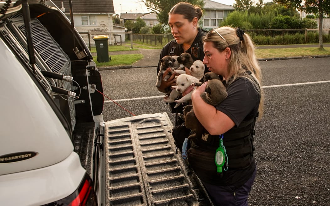 Another day keeping an eye on the streets of south Auckland for animal control officers Shay Smith and Lisha Byrne