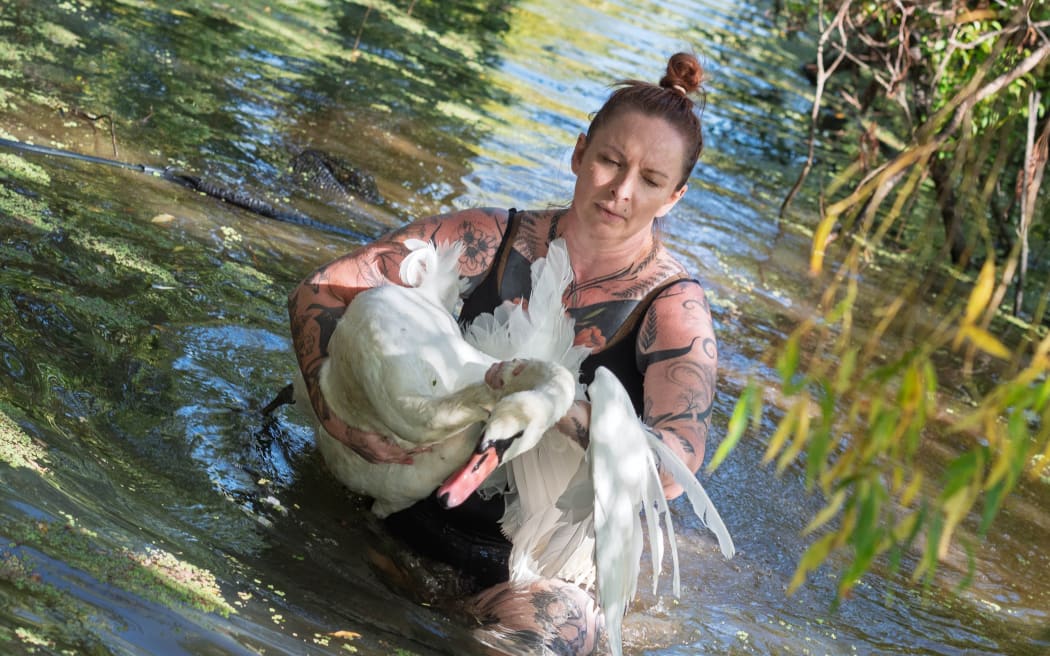 Rochelle Walker with infected swan - avian flu