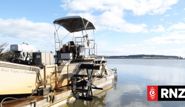 Hundreds of tonnes of weeds removed in Lake Horowhenua clean-up