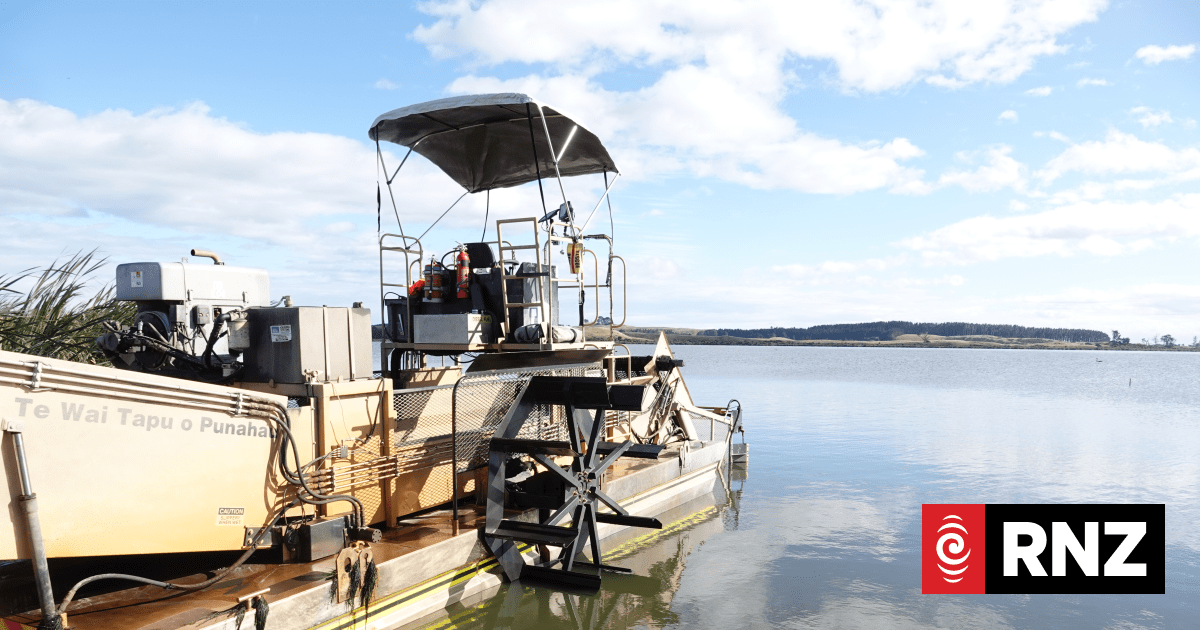 Hundreds of tonnes of weeds removed in Lake Horowhenua clean-up