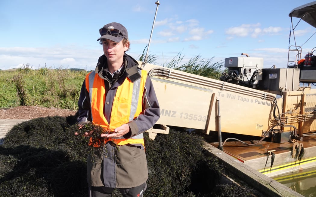 Harvester skipper Julian Everth says they've collected more than 400 tonnes of weed this summer.