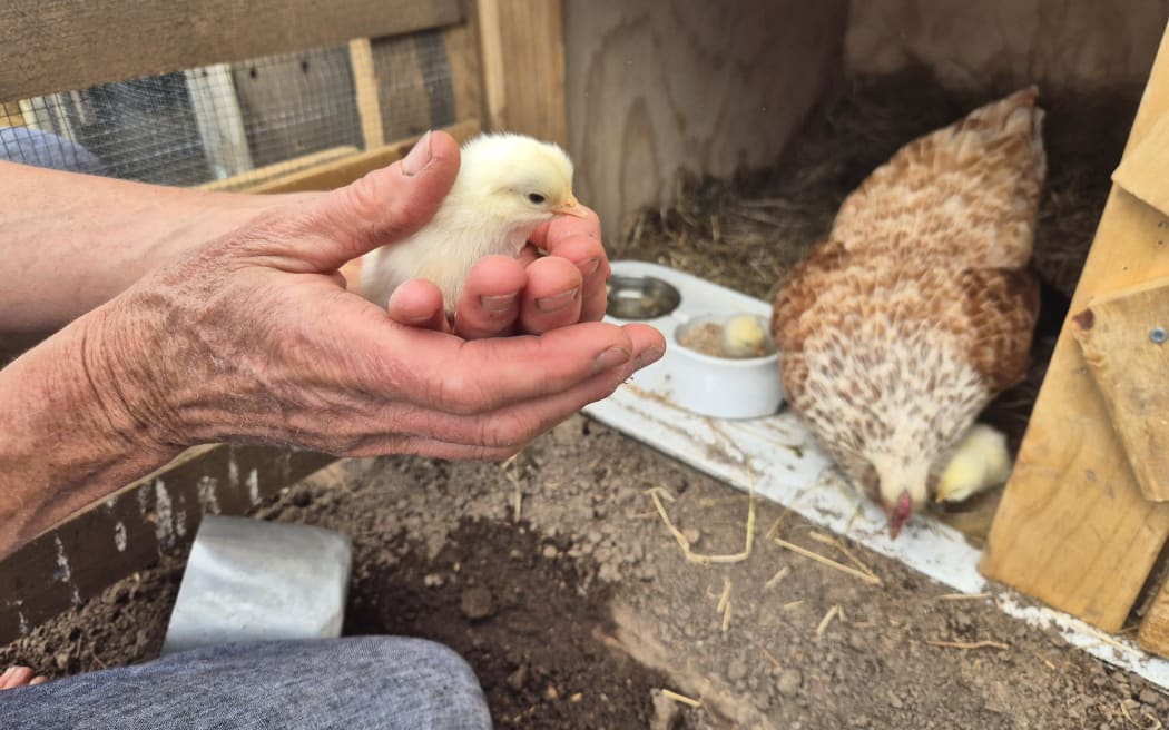 When Country Life paid a visit late last Spring, the gardens were filled with the sounds of new life.
