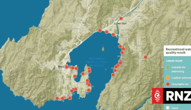 Another wastewater leak hits Wellington