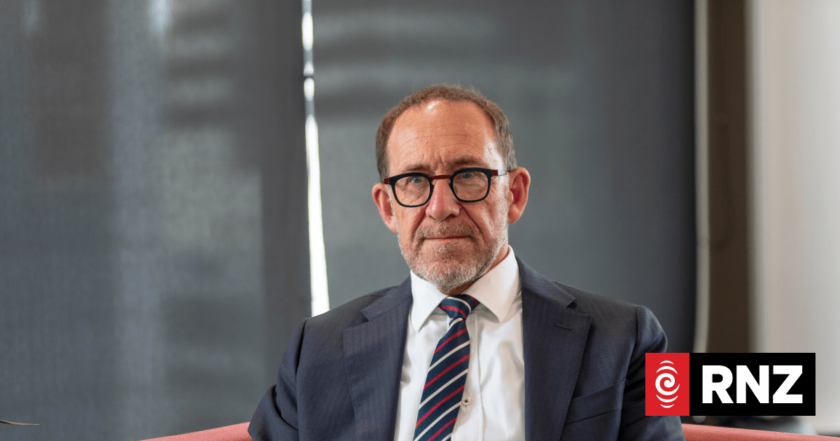 Wellington mayor Andrew Little gets three-year plan over the line