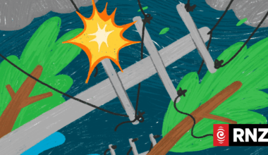 Transmission network already threatened by climate hazards, data shows