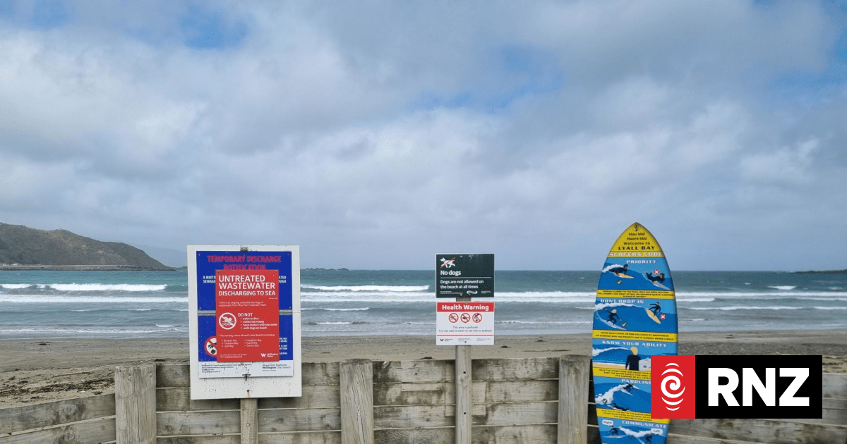 Moa Point disaster exposes deeper problems, public health experts warn