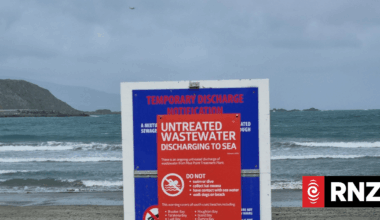 Moa Point wastewater plant replacement equipment not yet ordered, Wellington Water says