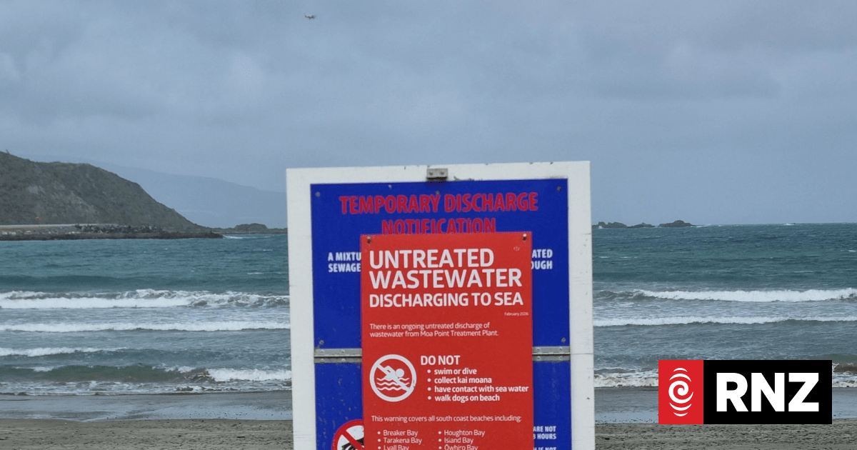 Moa Point wastewater plant replacement equipment not yet ordered, Wellington Water says