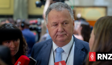 NZ will release six days of fuel amid global concerns over supply