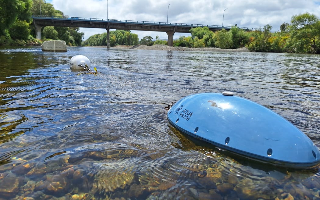 A water quality monitor moored midstream south of Melling Bridge in Hutt River Te Awa Kairangi.