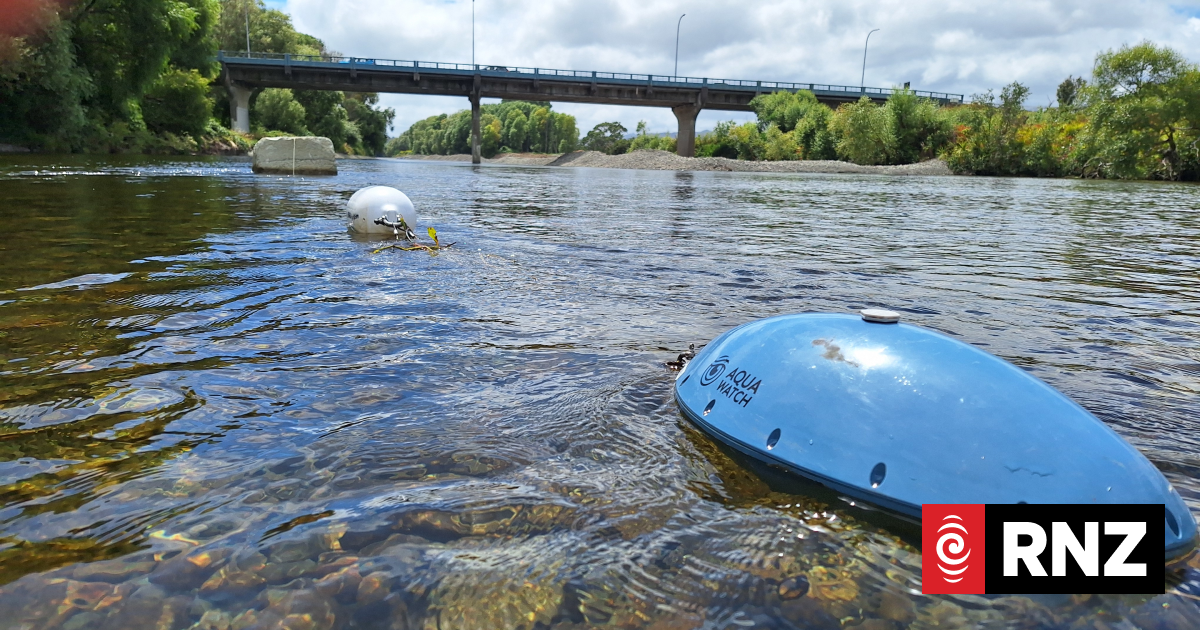 Riverlink project affecting Hutt River water quality