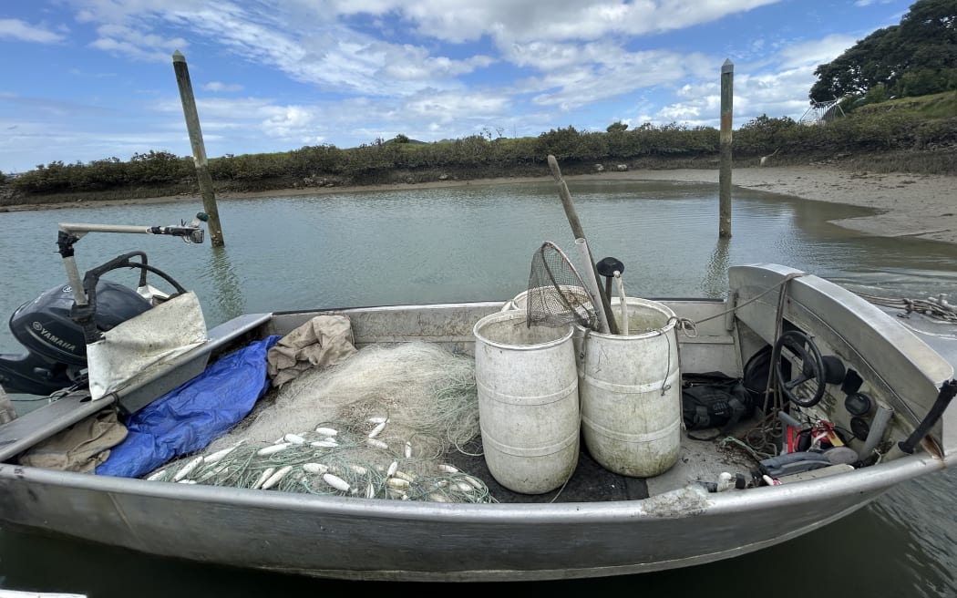A ring net fishing boat in Northland. Photo: Seafood NZÂ
