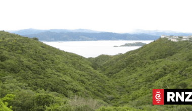 Up to 200 properties ‘may be directly affected’ by Petone to Grenada road