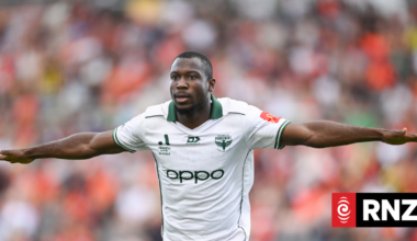 Wellington Phoenix score crucial win over Brisbane Roar