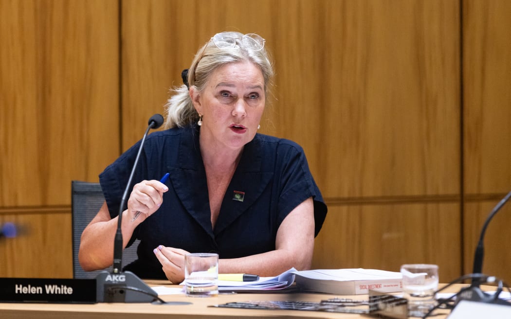 Labour Party MP Helen White in committee during Scrutiny Week.