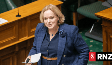 Fuel crisis the priority, not style guides, Judith Collins tells ACT