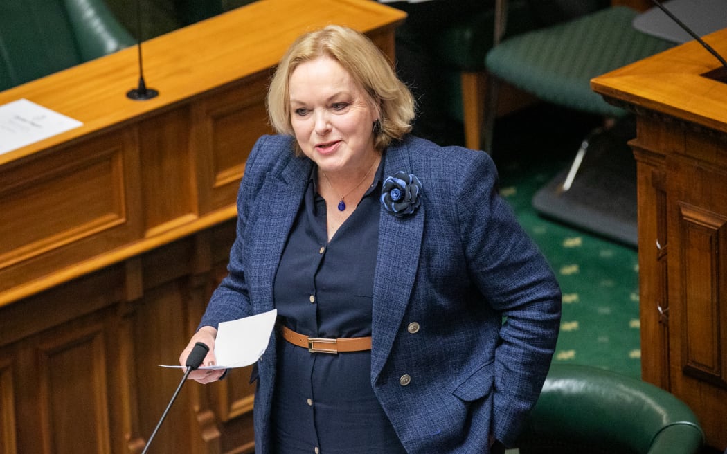 Defence Minister Judith Collins during the Committee of the Whole House stage