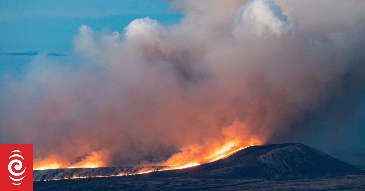 Cause of massive Tongariro National Park fire discovered